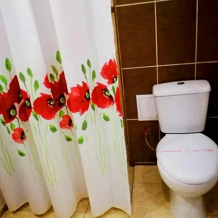 Misha Gæstehus Petrevene