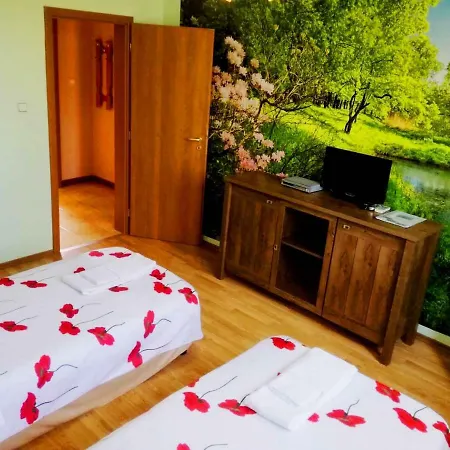 Misha Гостевой дом 4*