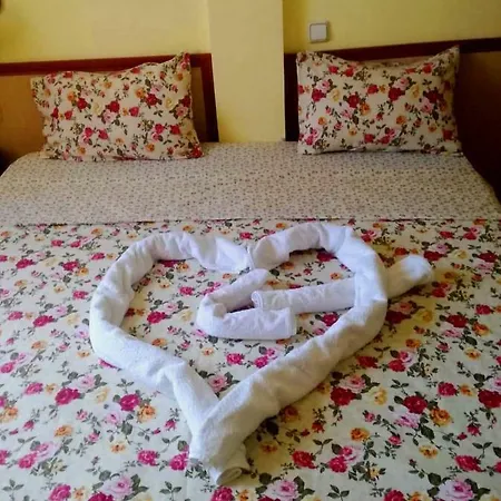 Misha Гостевой дом 4*