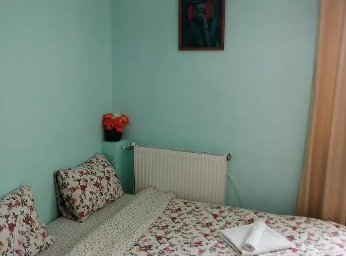 Pensión Misha Petrevene