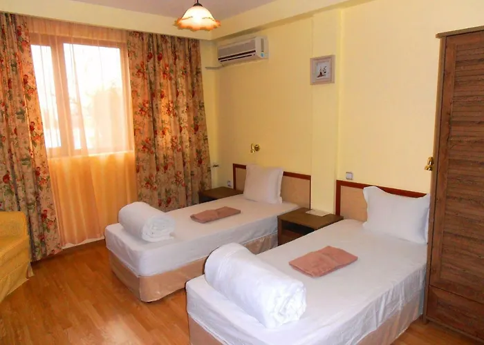 Misha Pensión Petrevene